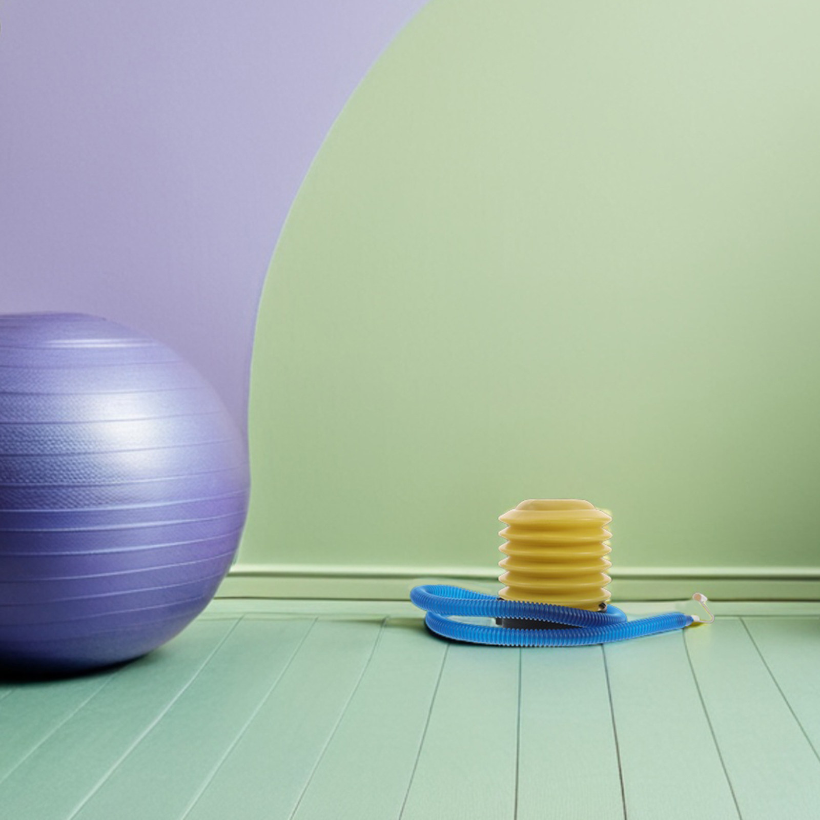 1Set Yoga Ball Inflator Manual - Pilates Yoga &A 评论和价格